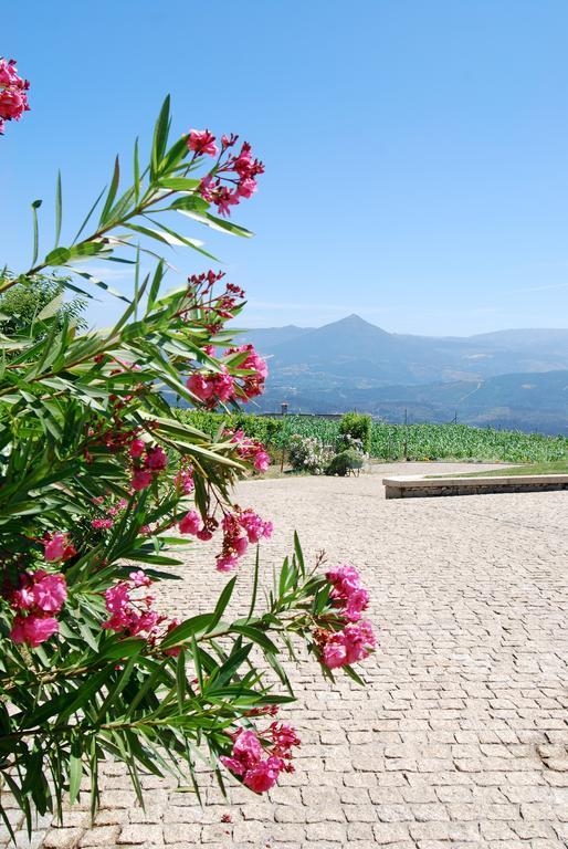 Villa Quinta Do Alto Celorico De Basto Exterior foto