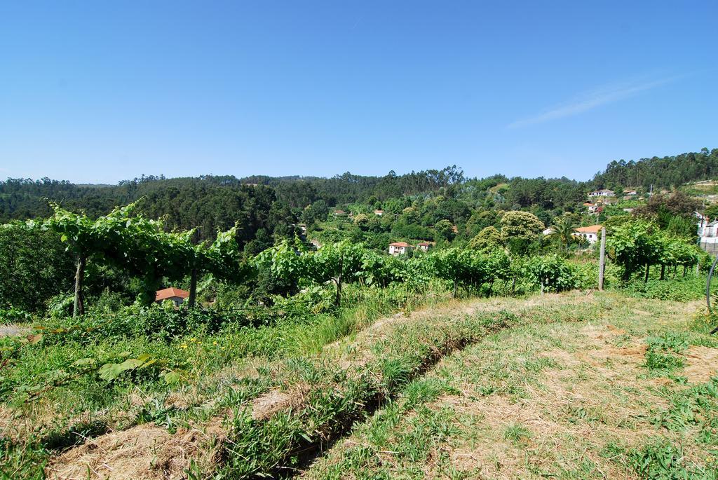 Villa Quinta Do Alto Celorico De Basto Exterior foto