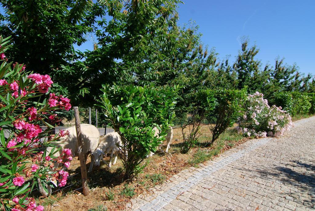 Villa Quinta Do Alto Celorico De Basto Exterior foto